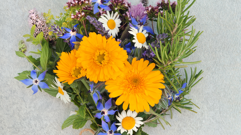 Bouquet Posy Cut Flowers Calendula Borage Rosemary
