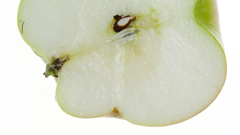 Image above: damage caused by Apple Dimpling Bug (image courtesy of Denis Crawford)
