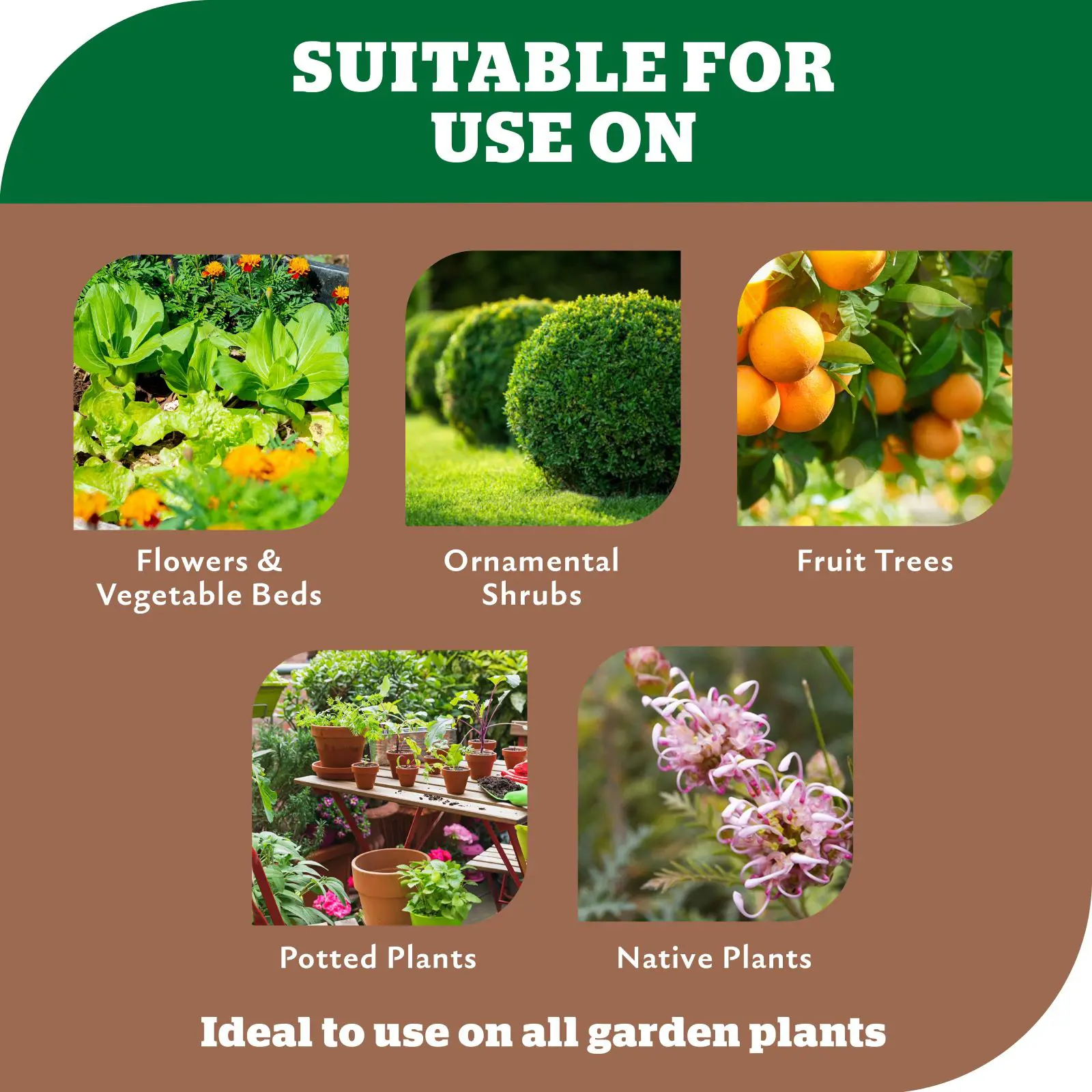 Yates 15kg Dynamic Lifter Soil Improver & Plant Fertiliser