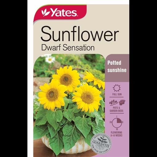 45784_Sunflower Dwarf Sensation_FOP.jpg (1)