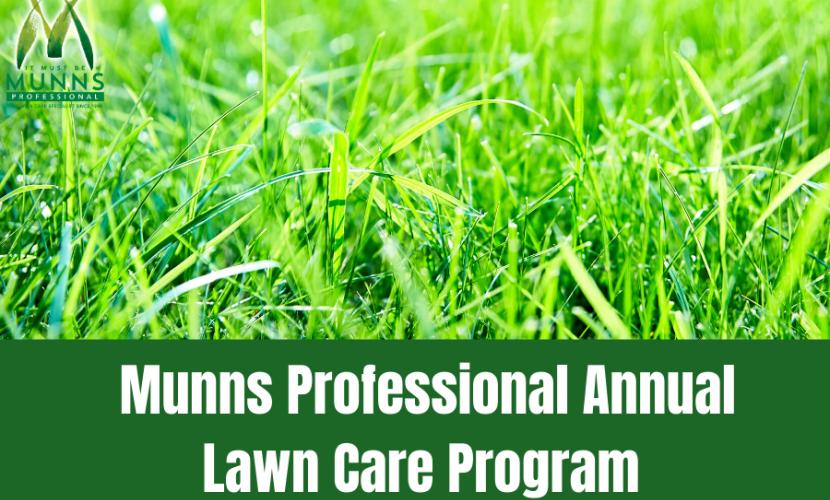 Annual lawn care programs