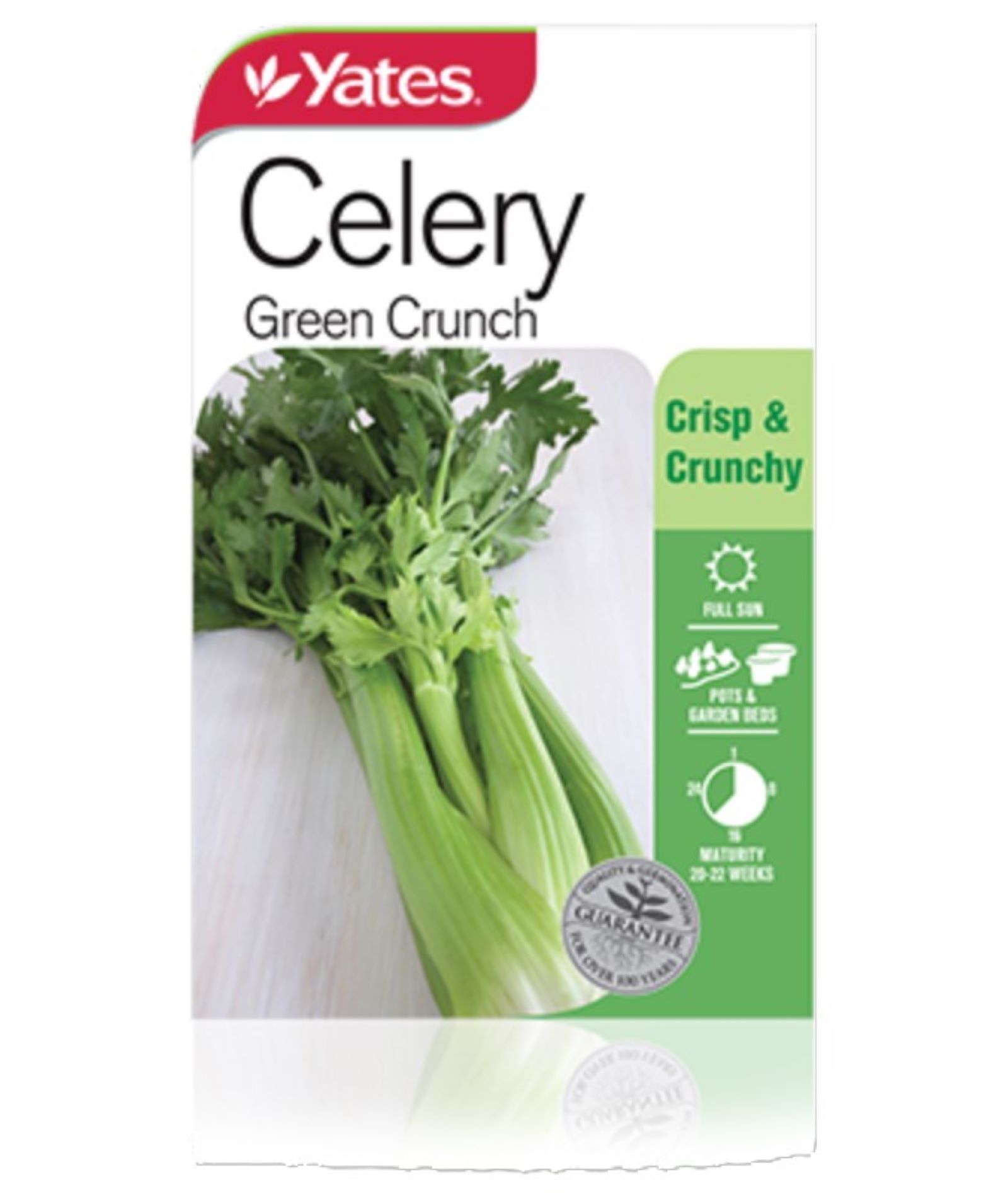 How to Grow Celery | Yates Australia