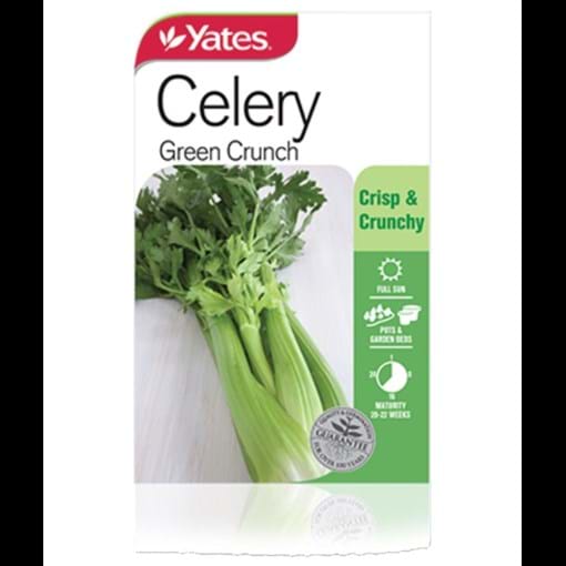 celery_green_crunch.jpg