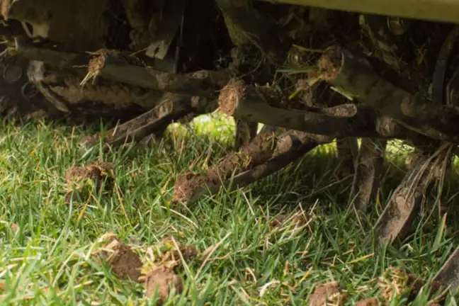 Image above: mechanical lawn corer