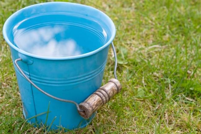 Blue Bucket Of Water Sitting On Lawn 800X451px LS