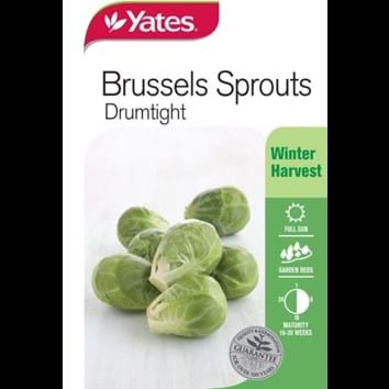 brussels-sprouts-drumtights