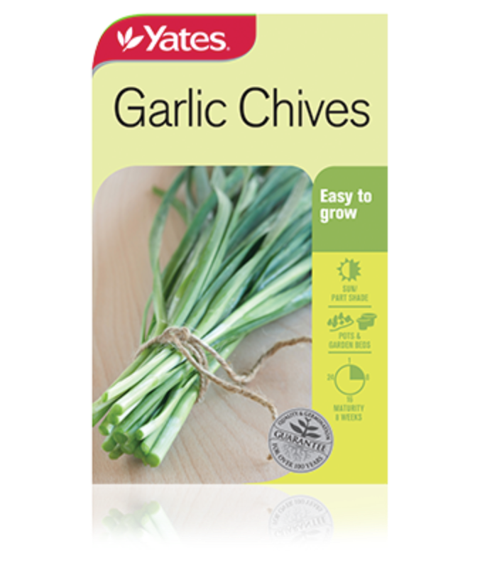 Garlic Chives Garden Seeds Yates Australia