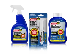 Effectively Control Home Pests In Your Home - Yates Home Pest