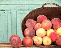 Nectarine & Peach