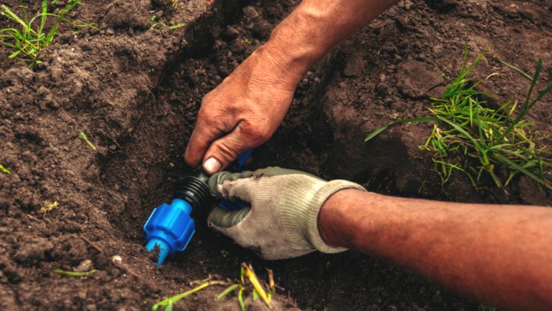 Irrigation Installation Lawn 800X451px LS