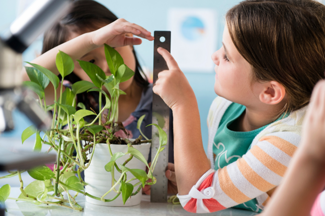 Green Classroom Image