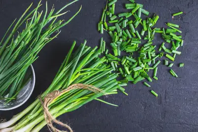 Spring Onion