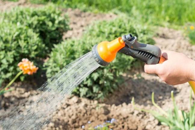Watering the garden with a trigger nozzle