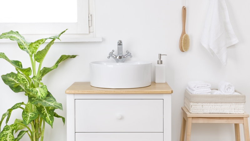 beauitful white bathroom with a mature Algonema green and yellow variety growing next to the sink