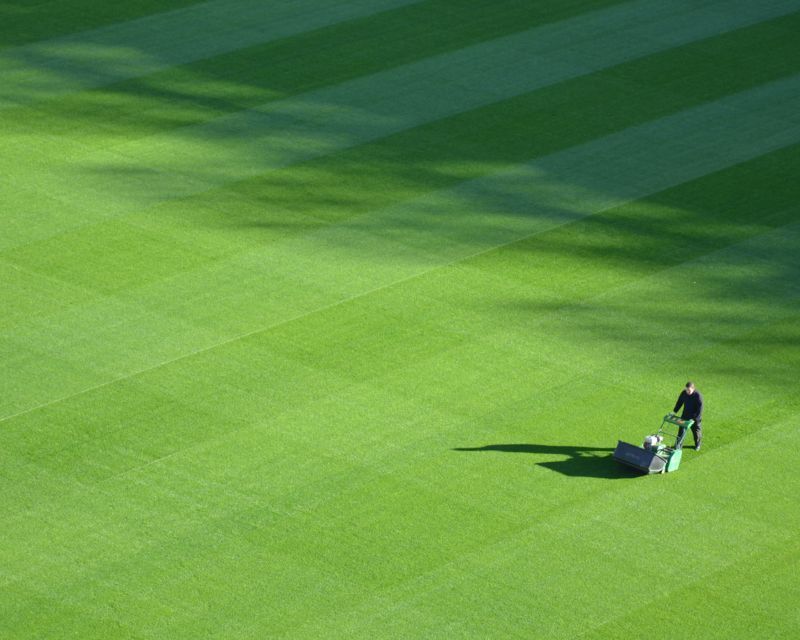 Varieties of Turf
