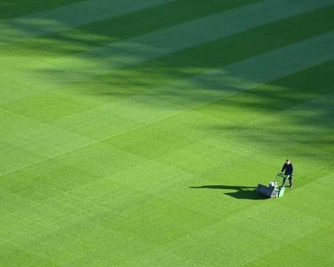 Varieties of Turf