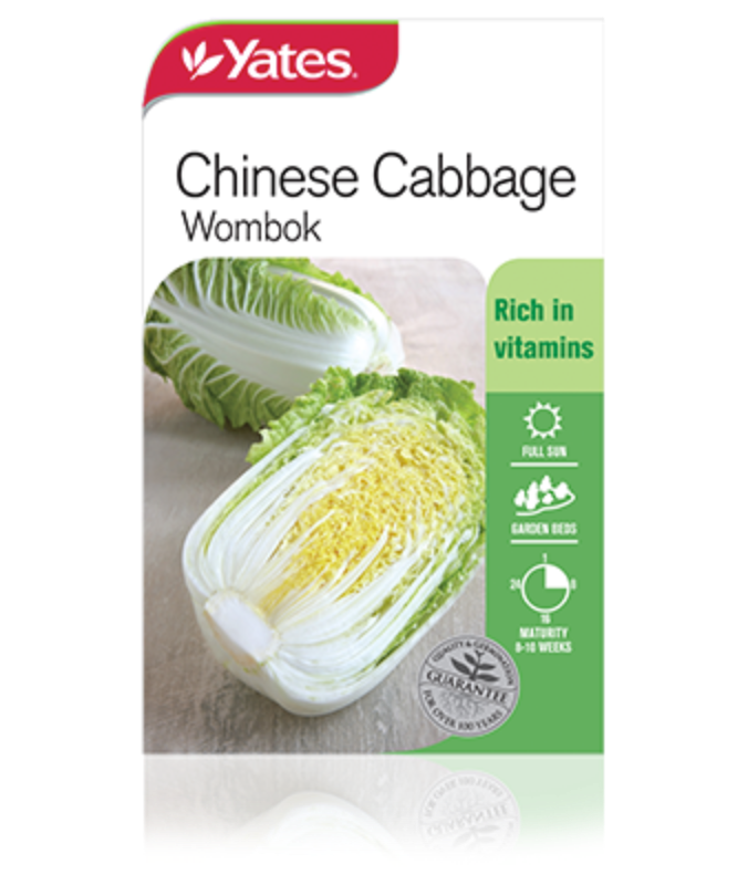 Chinese Cabbage Wombok Garden Seeds Yates Australia