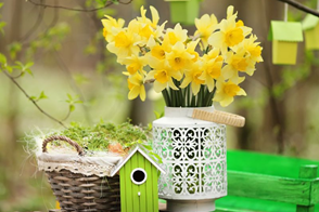 Easter gardening treats to keep you busy