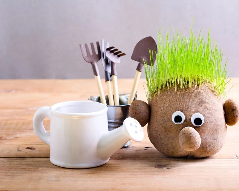 Grass head store