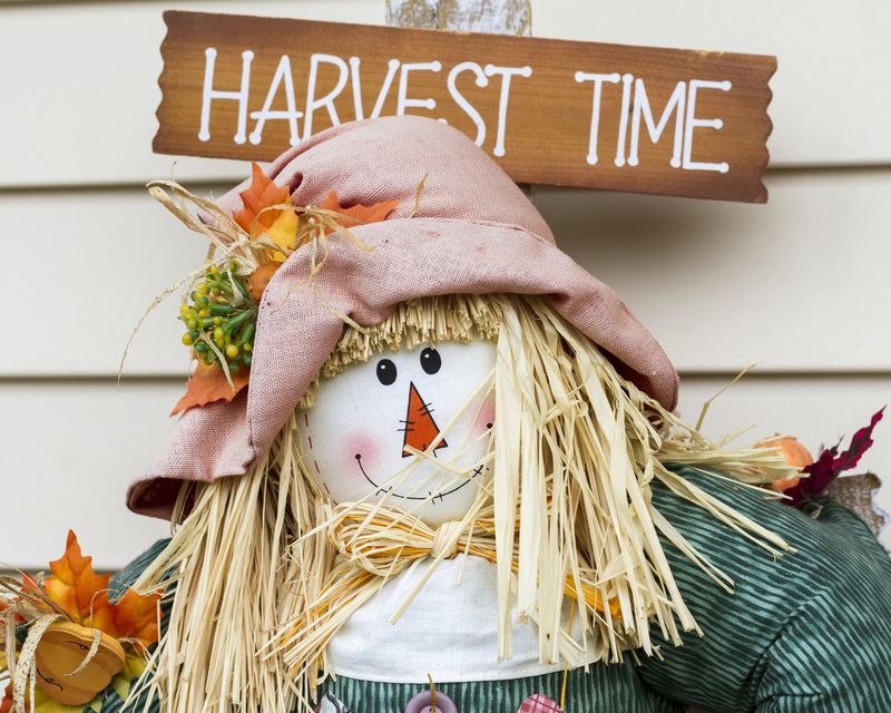 How to build a Garden Scarecrow