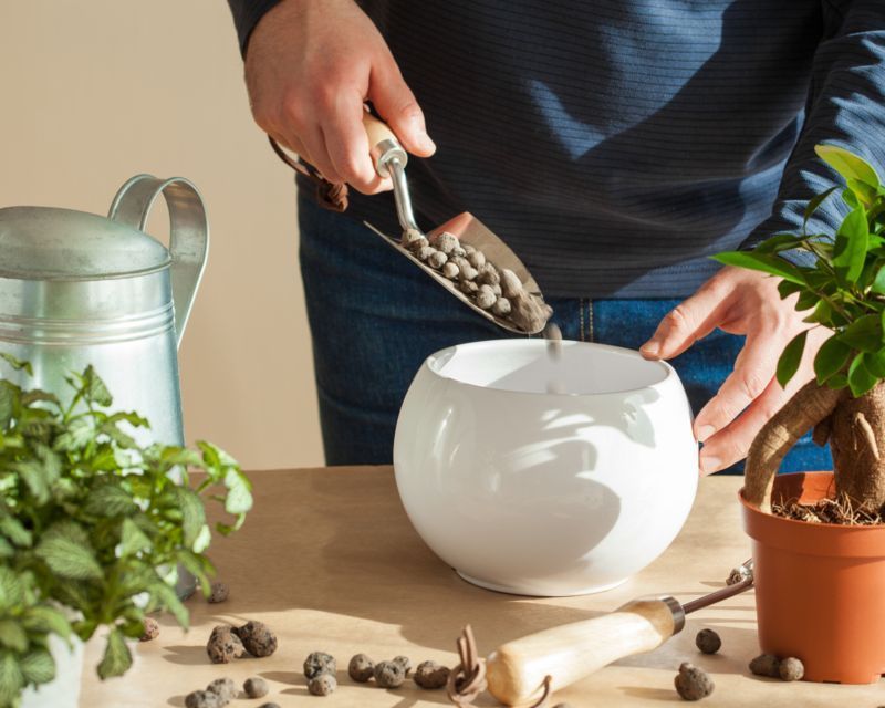 Safety with Potting Mix