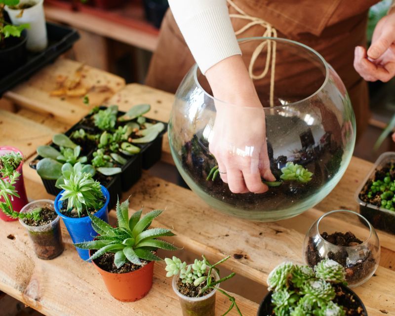 person filling a round vase (fish bowl) with potting  mix and plants to create a terrarium