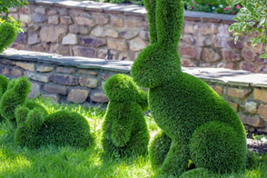 Terrific Topiary