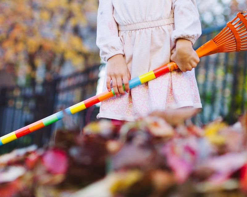 Composting at school