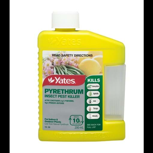 34035_Yates Pyrethrum Insecticide_200ml_FOP_p5bpzt.jpg (1)