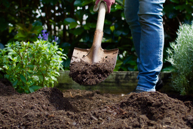 person digging soil with a shovel in a garden bed