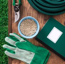 Yates seeds are they gm