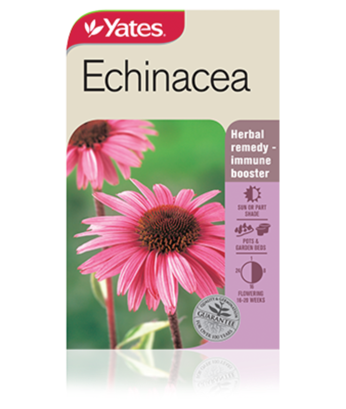 Echinacea Garden Seeds Yates Australia