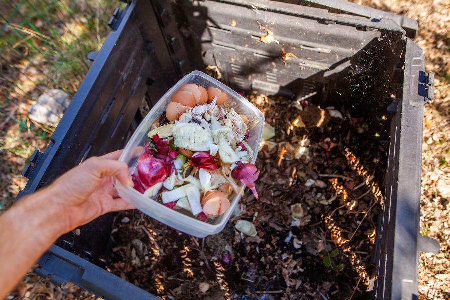 Kitchen scraps being added to the compost bin