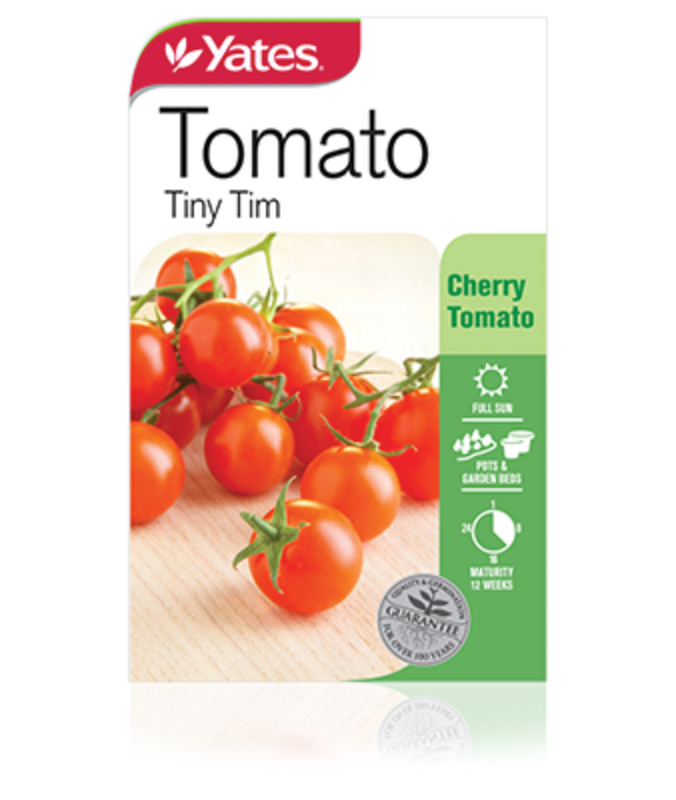 Tomato Tiny Tim Garden Seeds Yates Australia