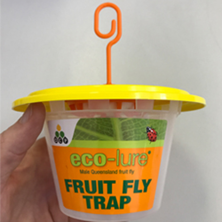 Assembled Eco Lure Trap Ready To Hang In Foliage Web Lr