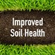 Munns_USP_improved_soil_heath.jpg (6)