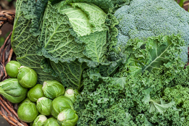 Image Brassica Vegetables Broccoli Cabbage Kale Brussels Sprouts