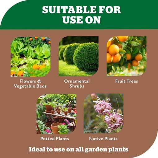 Yates Dynamic Lifter Organic Plant Food & Soil Improver Pellets Standard & Reduced Odour - Tile 4.jpg (2)