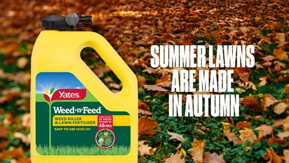 Welcome to Autumn