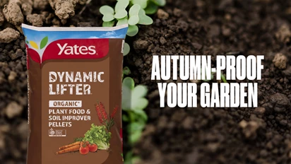 Welcome to Autumn
