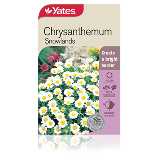chrysanthemums_snowlands.png (1)