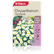 chrysanthemums_snowlands.png (1)
