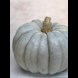 17787_pumpkin-queensland-blue_1_result.jpg (1)