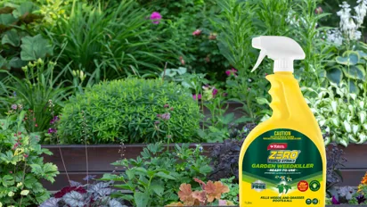 Make The Most Of Summer Gardening!