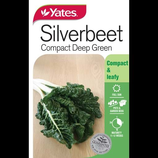24082_Silverbeet Compact Deep Green_FOP.jpg