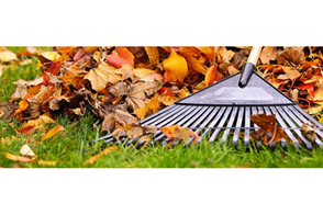 Preparing your lawn for winter in autumn