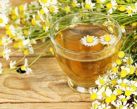 How to Grow Chamomile