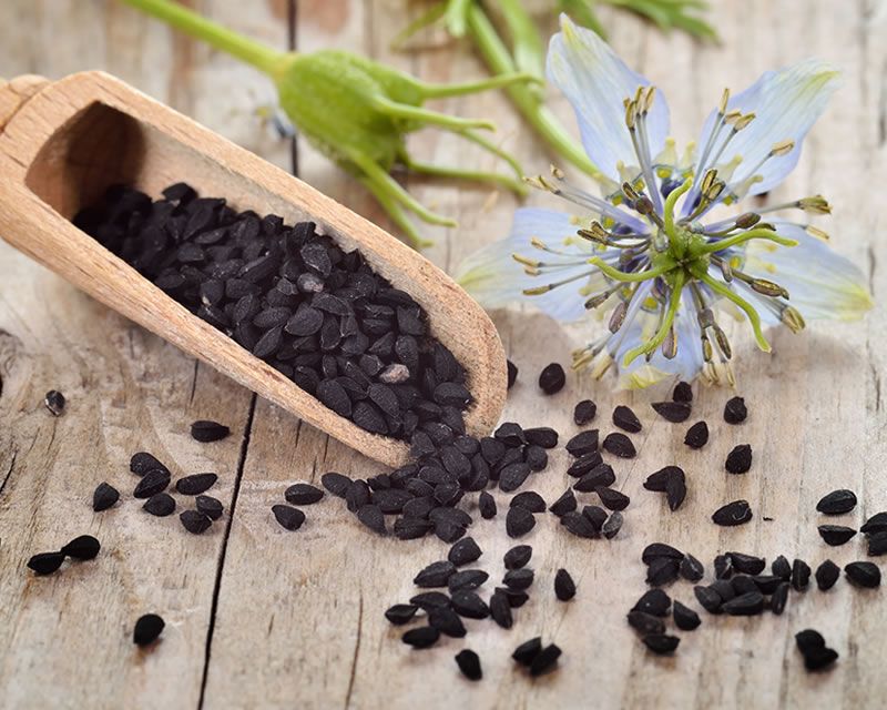 How to grow Nigella