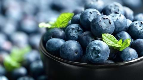 Ceramic black bowl of blueberries with springs of mint