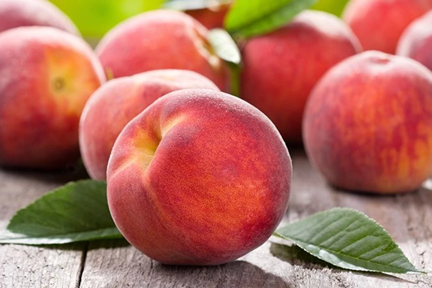 How to Grow Nectarines & Peaches